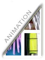 Animation